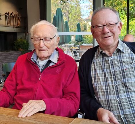 Bild: Mutzenstamm in Herzogenbuchsee