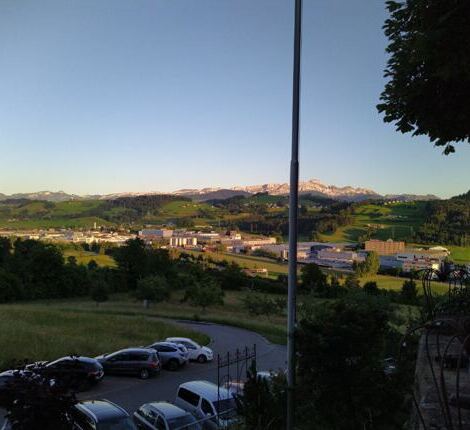 Bild: St. Gallerstamm im Juni